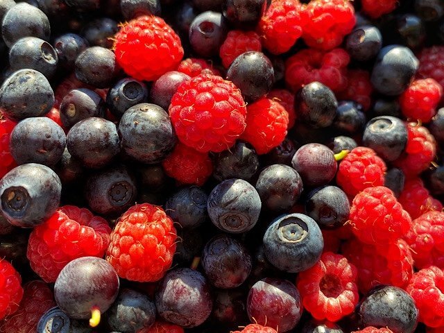 Fresh picked Swedish blåbär and raspberries